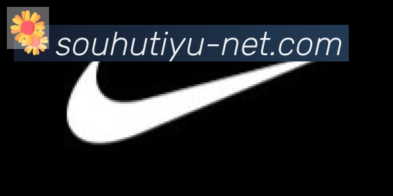 搜狐体育直播合作伙伴